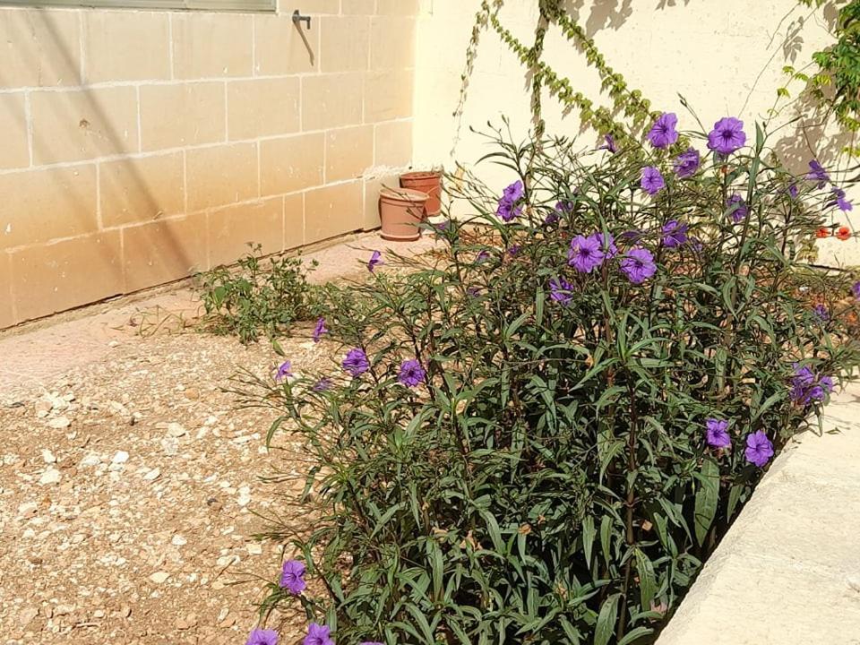 Dynesty B&B Birżebbuġa Extérieur photo